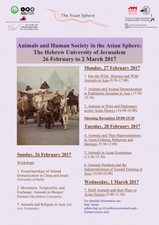 animals