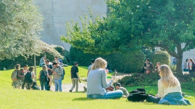 why study here