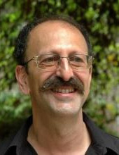 David Shulman